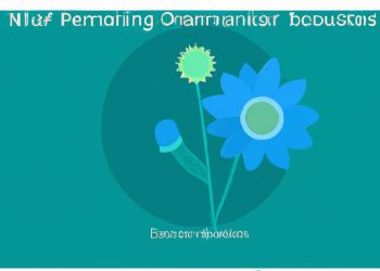 SEL Essentials: Nurturing the Whole Student