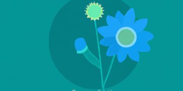 SEL Essentials: Nurturing the Whole Student