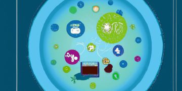 Digital Literacy: Navigating the Landscape of Tech Integration